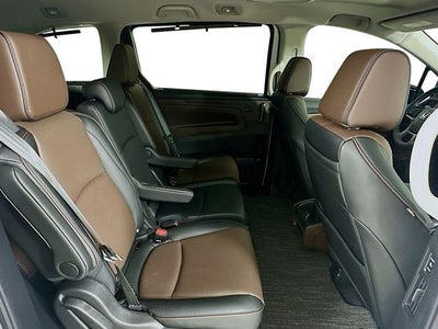2026 Honda Odyssey Elite