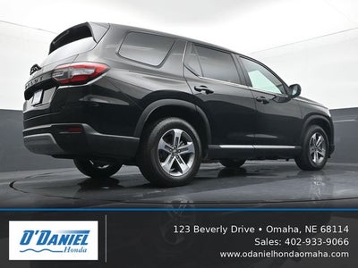 2024 Honda Pilot EX-L 8 Passenger